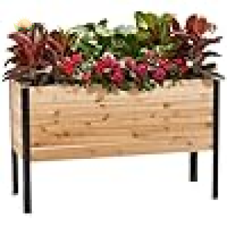 Planter Pot to Grow Herbs Flowers, and Vegetables at Home Indoor and Outdoor Patio Balcony Deck
